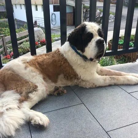 Leitnerhof * Kirchberg in Tirol